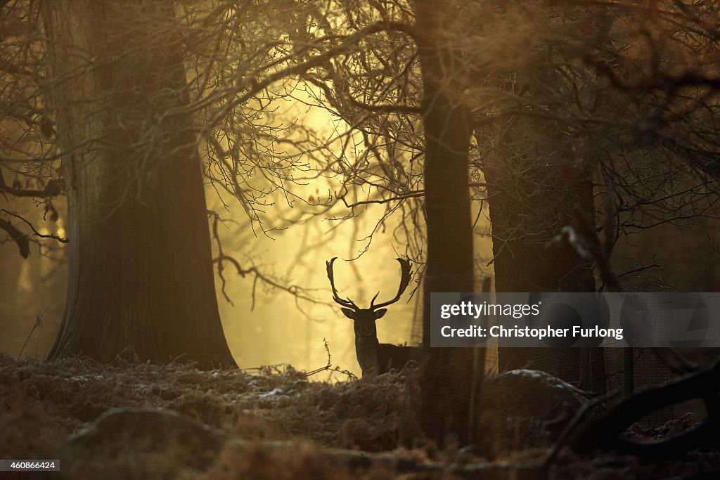 Snow And Freezing Temperatures Hit UK