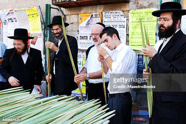 checking lulav for sukkot festival in jerusalem - hasidic jew stockfoto's en -beelden