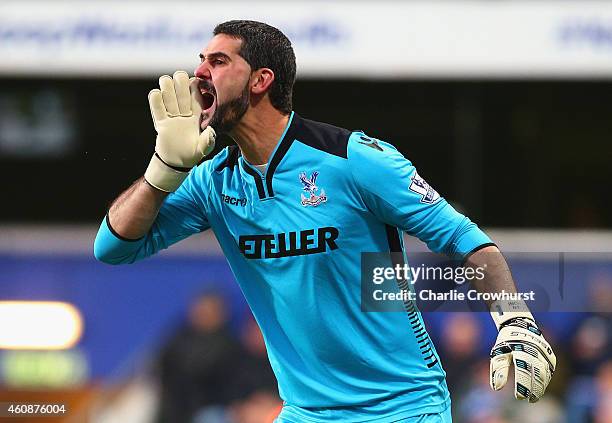 Julian Speroni of Crystal Palace organises his defence during the Barclays Premier League match between Queens Park Rangers and Crystal Palace at...