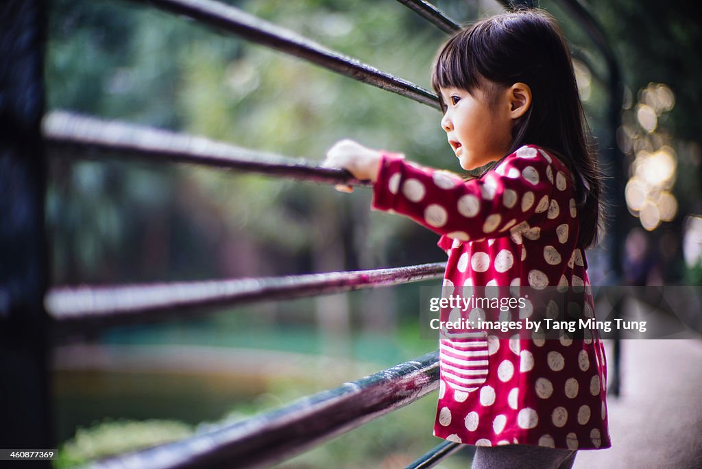 Toddler girl looking through metal fencing