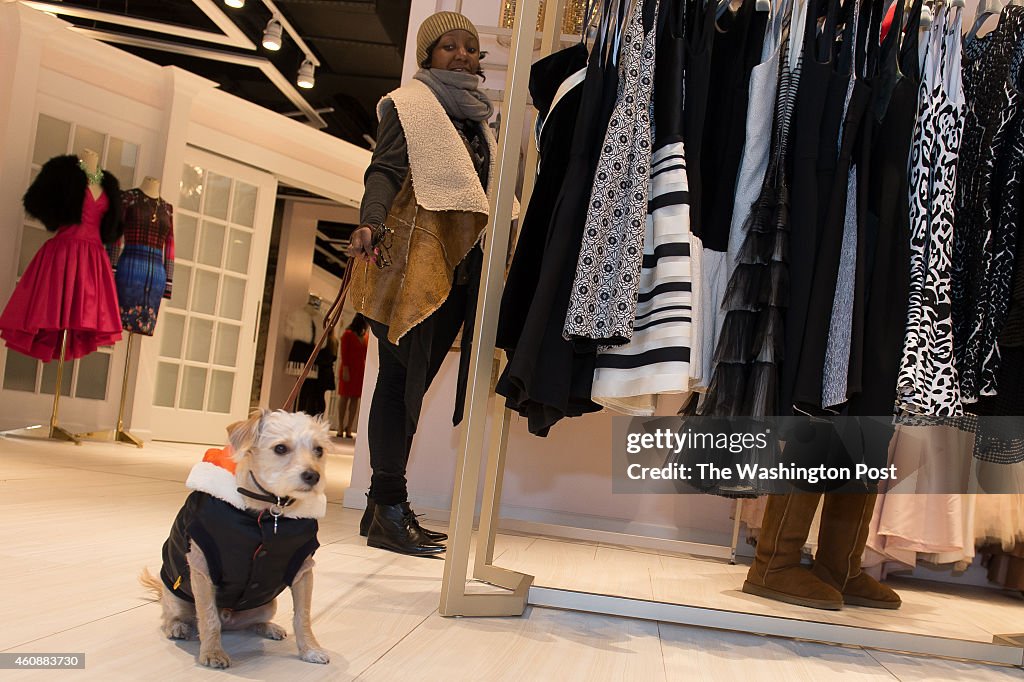 WASHINGTON, DC - DECEMBER 12:   Bacon and his owner Aisha Pew v