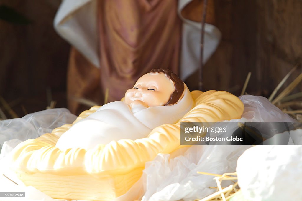 Stolen Baby Jesus Replaced By Pigs Head In Haverhill