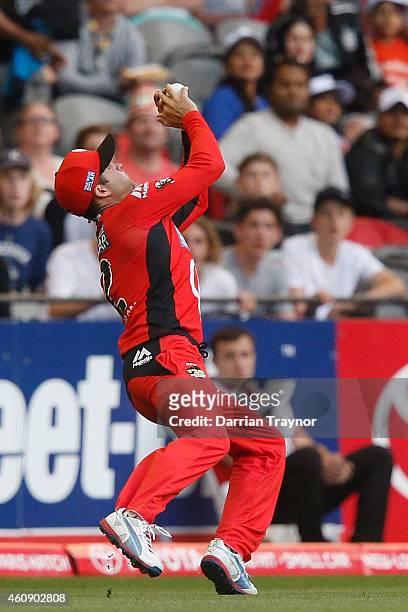 Callum Ferguson of the Melbourne Renegades takes a catch to dismiss Eoin Morgan of the Sydney Thunder during the Big Bash League match between the...