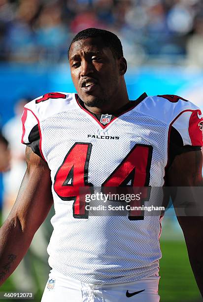 Jason Snelling of the Atlanta Falcons watches the action against the Carolina Panthers at Bank of America Stadium on November 3, 2013 in Charlotte,...