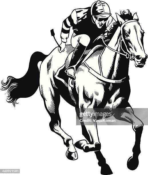 stockillustraties, clipart, cartoons en iconen met hand drawn thoroughbred horse - stallion