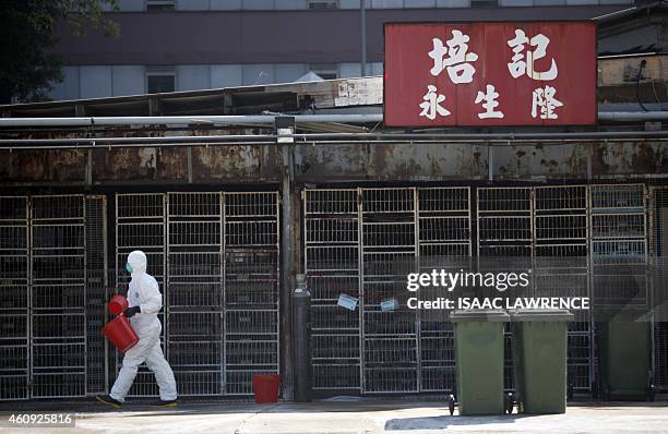 Workers prepares bins during a chicken cull in Hong Kong on December 31 after the deadly H7N9 virus was discovered in poultry imported from China....