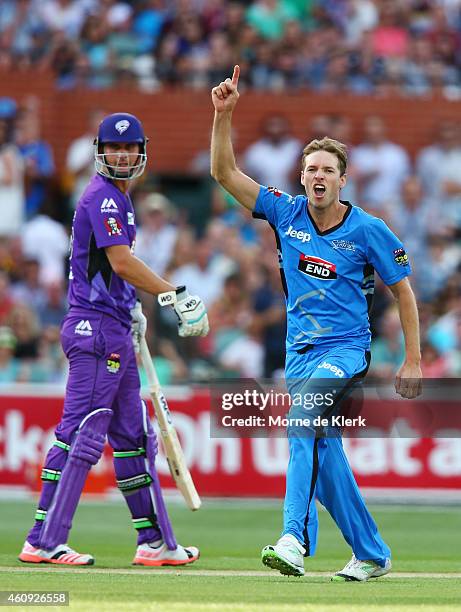 Ben Laughlin of the Adelaide Strikers celebrates after getting the wicket of Tim Paine of the Hobart Hurricanes during the Big Bash League match...