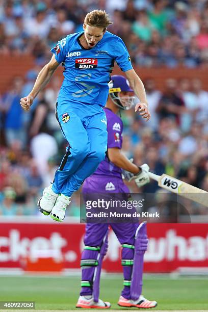 Ben Laughlin of the Adelaide Strikers celebrates after getting the wicket of Tim Paine of the Hobart Hurricanes during the Big Bash League match...