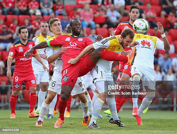 Jeremy Brockie of the Phoenix and Bruce Djite of United compete for the ball during the round 14 A-League match between Adelaide United and...