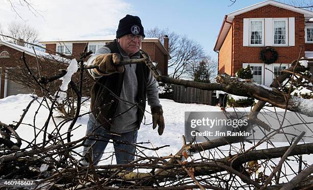 Bill Hollett carries tree limbs from a damaged backyard maple to the curb for eventual pick up by the city of Markham. The trees along Markham's...