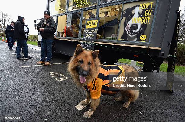 Dog in Hull City colours is pictured outside a burger van prior to the Barclays Premier League match between Hull City and Everton at KC Stadium on...