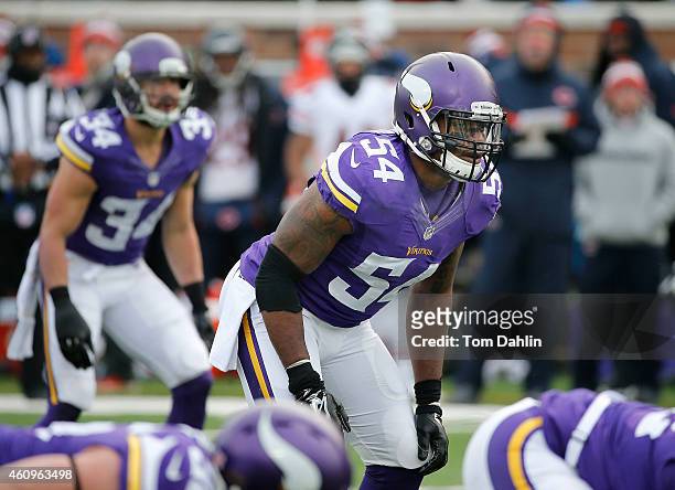 Jasper Brinkley of the Minnesota Vikings lines up during an NFL game against the Chicago Bears at TCF Stadium, on December 28, 2014 in Minneapolis,...