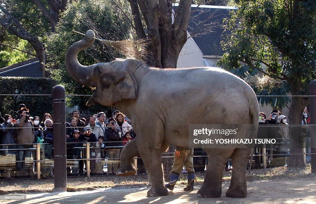 JAPAN-NEW YEAR-ANIMAL