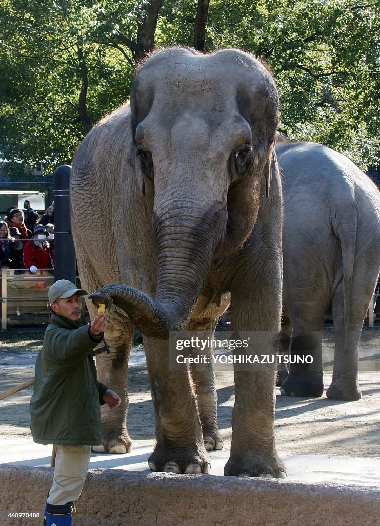 JAPAN-NEW YEAR-ANIMAL