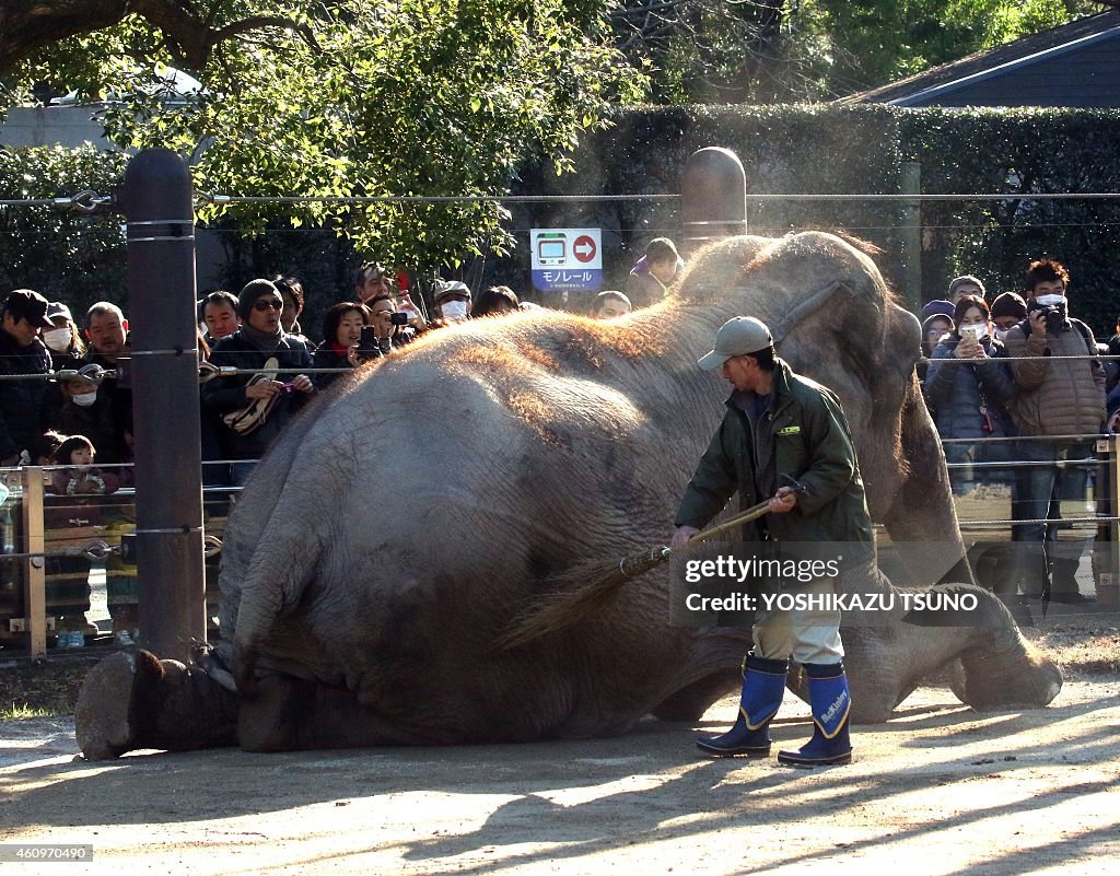 JAPAN-NEW YEAR-ANIMAL