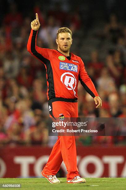 Aaron Finch of the Renegades appeals unsuccessfully during the Big Bash League match between the Melbourne Renegades and the Melbourne Stars at...