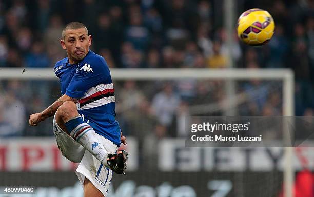 Angelo Palombo of UC Sampdoria in action during the Serie A match betweeen UC Sampdoria and Udinese Calcio at Stadio Luigi Ferraris on December 21,...