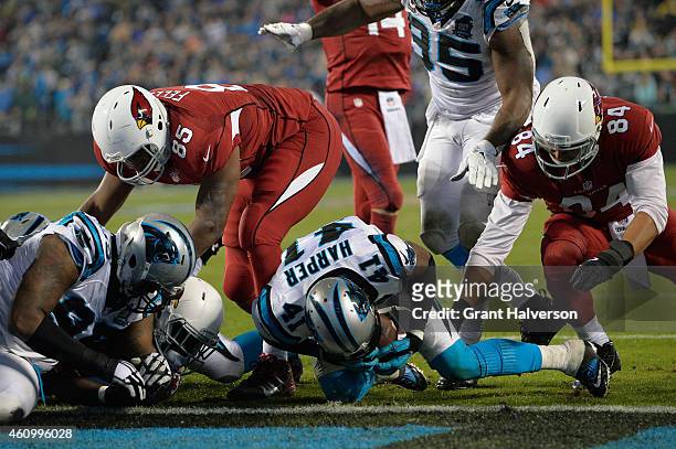 Roman Harper of the Carolina Panthers dives on a loose ball after Marion Grice of the Arizona Cardinals fumbled during their NFC Wild Card Playoff...