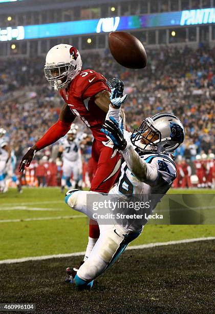 Philly Brown of the Carolina Panthers attempts to catch a pass while being guarded by Antonio Cromartie of the Arizona Cardinals during their NFC...