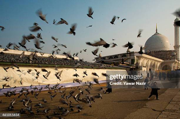 Boy moves in on pigeons at the at Hazratbal shrine during Eid-e-Milad , or the birth anniversary of Prophet Mohammad on January 04, 2015 in Srinagar,...