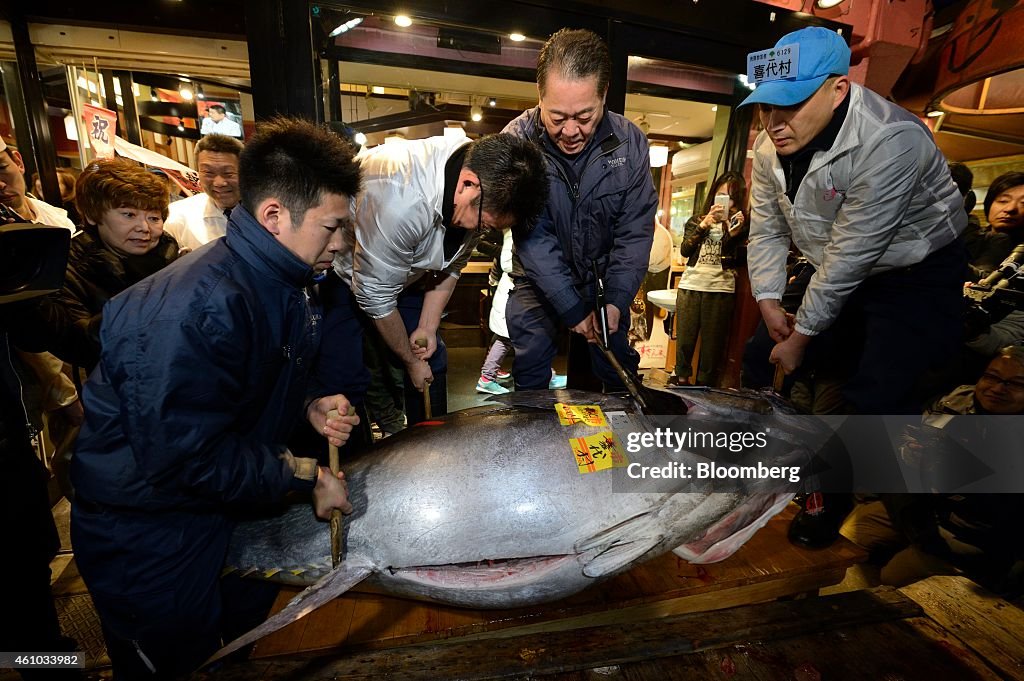 First Tuna Auction Of 2015 At Tsukiji Market