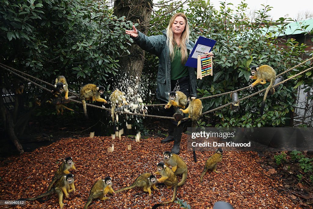 London Zoo's Annual Animal Stocktake