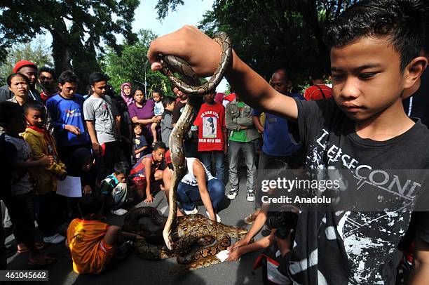 20 Sukarta Stock Photos, High-Res Pictures, and Images - Getty Images