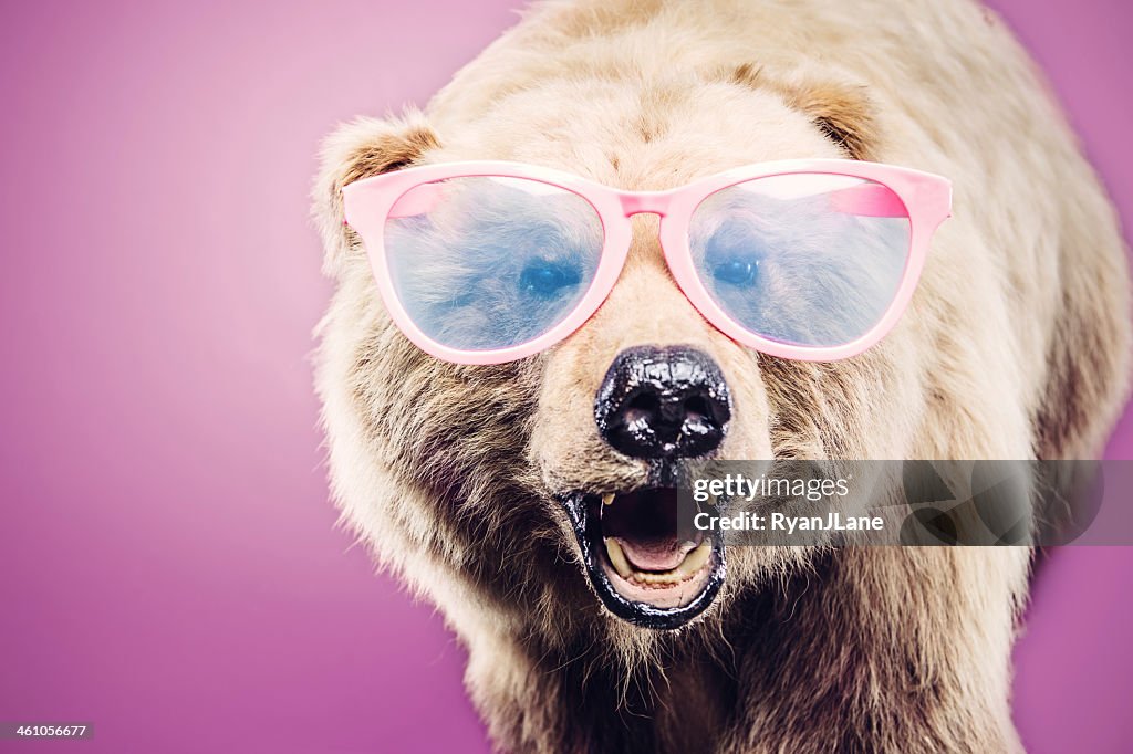 Bear with Pink Sunglasses