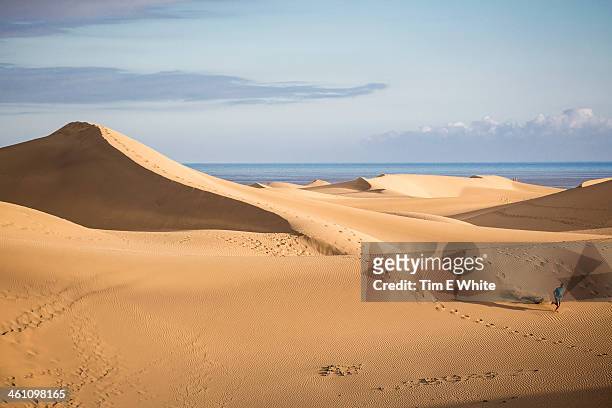 sand dunes of maspalomas, gran canaria, spain - isla de gran canaria fotografías e imágenes de stock