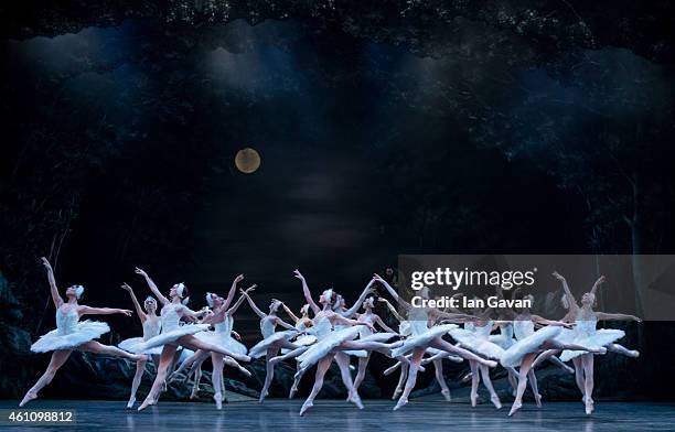 Dancers perform on stage during a dress rehearsal for The English National Ballet's "Swan Lake" at the London Coliseum on January 6, 2015 in London,...