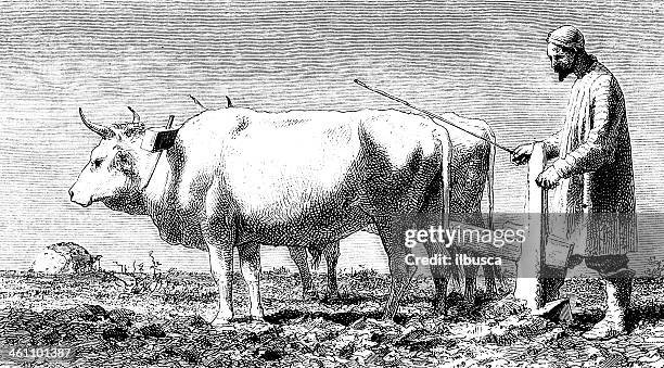 farmer with cattle - tajikistan stock illustrations