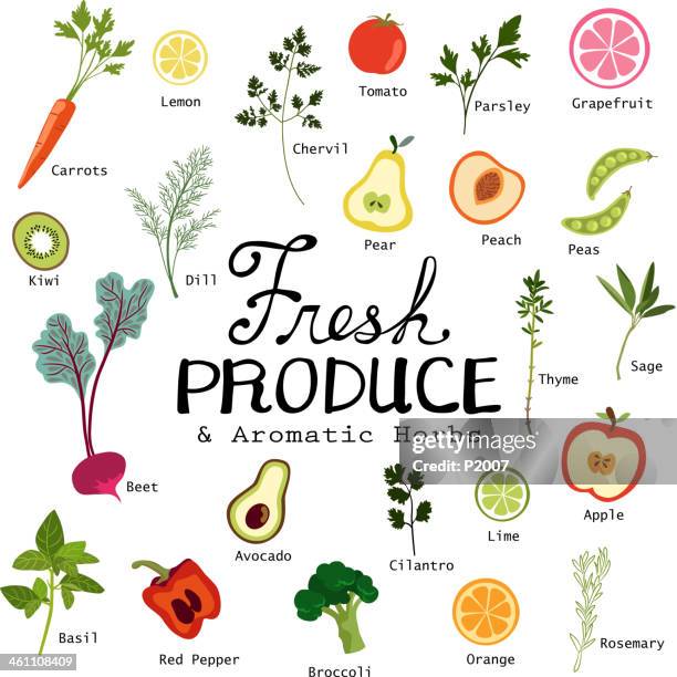 fresh fruits and vegetables - beet stock illustrations