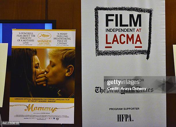 General view of atmosphere at the Film Independent at LACMA screening and Q&A of "Mommy" at Bing Theatre At LACMA on January 6, 2015 in Los Angeles,...