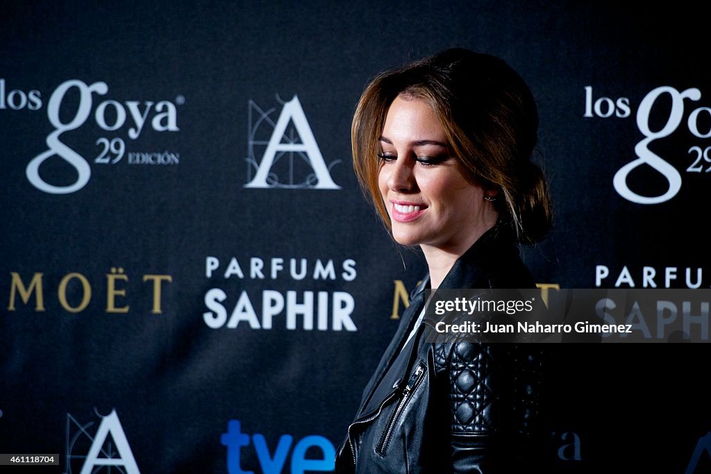 Goya Awards Candidates Press Conference 2015 in Madrid
