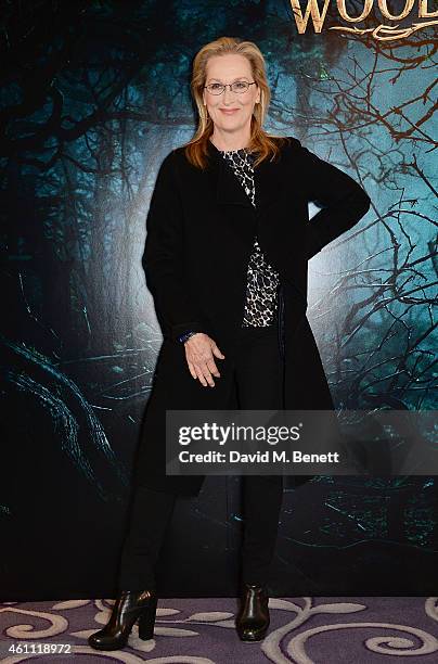 Meryl Streep attends a photocall for "Into The Woods" at Corinthia Hotel London on January 7, 2015 in London, England.