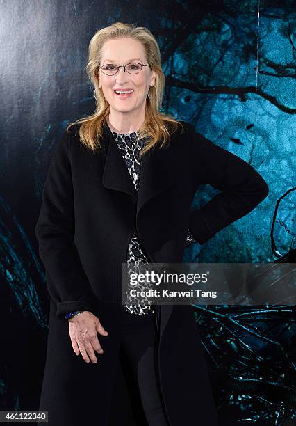 Meryl Streep attends a photocall for "Into The Woods" at Corinthia Hotel London on January 7, 2015 in London, England.