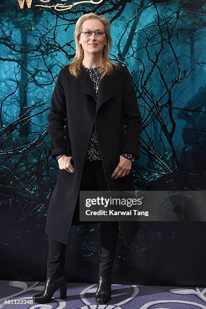 Meryl Streep attends a photocall for "Into The Woods" at Corinthia Hotel London on January 7, 2015 in London, England.