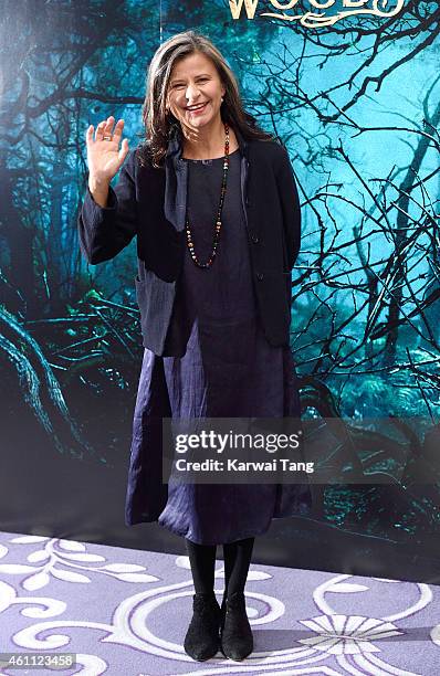 Tracey Ullman attends a photocall for "Into The Woods" at Corinthia Hotel London on January 7, 2015 in London, England.