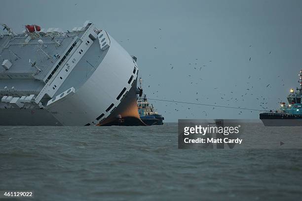 Salvage tugs tow the stricken vessel 'Hoegh Osaka' to a anchor point in the the Solent on January 7, 2015 in Cowes, England. The ship began to float...