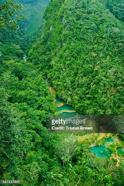 guatemala - semuc champey stock pictures, royalty-free photos & images