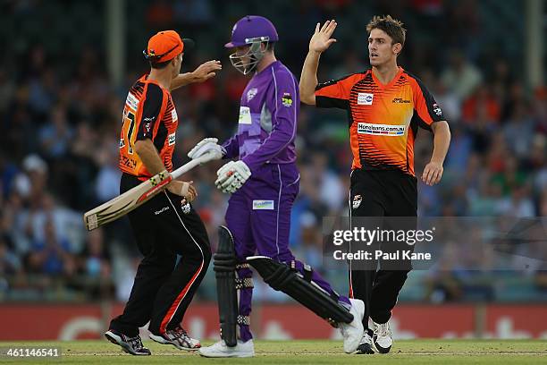 Simon Katich and Mitch Marsh of the Scorchers celebrate the wicket of Ben Dunk of the Hurricanes during the Big Bash League match between the Perth...