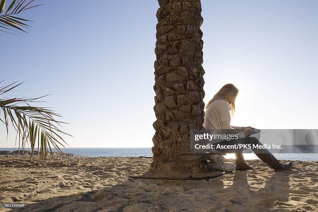 Woman uses digital tablet below palm tree, beach
