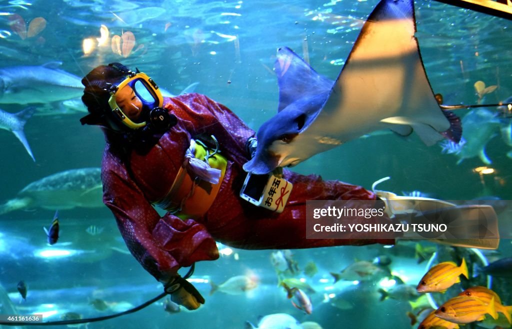 JAPAN-NEW YEAR-AQUARIUM