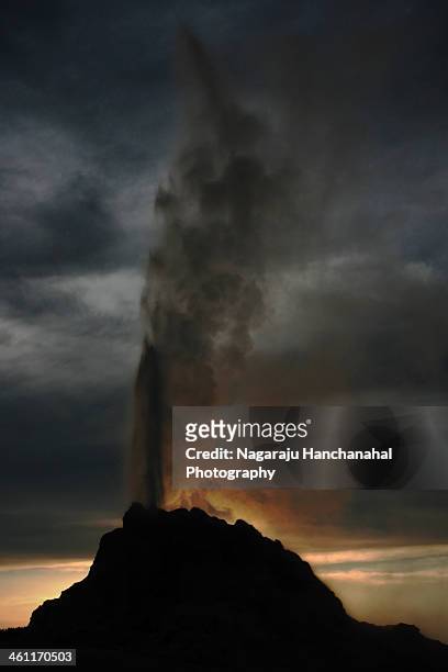 white dome geyser, yellowstone national park - great fountain geyser stock pictures, royalty-free photos & images