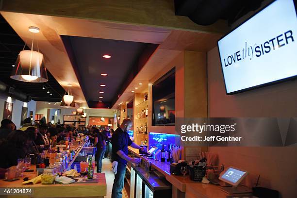 General view during the Love Thy Sister, We tv premiere party at Bar One on January 8, 2015 in Charlotte, North Carolina.