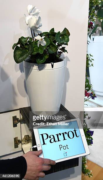 The Parrot Pot by Parrot is displayed at the 2015 International CES at the Las Vegas Convention Center on January 8, 2015 in Las Vegas, Nevada. The...