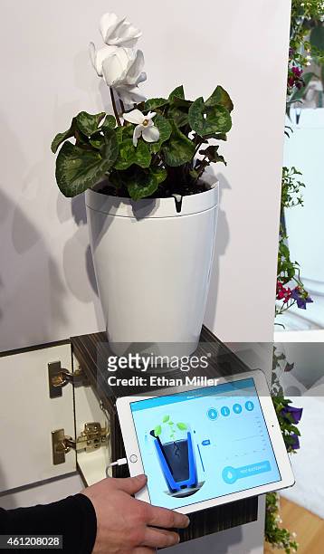 The Parrot Pot by Parrot is displayed at the 2015 International CES at the Las Vegas Convention Center on January 8, 2015 in Las Vegas, Nevada. The...