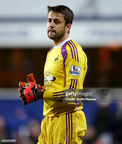 Lukasz Fabianski during the Barclays Premier League match between Queens Park Rangers and Swansea City at Loftus Road on January 1, 2015 in London,...