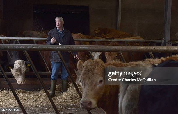 Beef cattle farmer Raymond Palmer pictured with some of his grass fed Simmental and Charolais cows on January 9, 2015 in Lifford, Ireland. Irish beef...