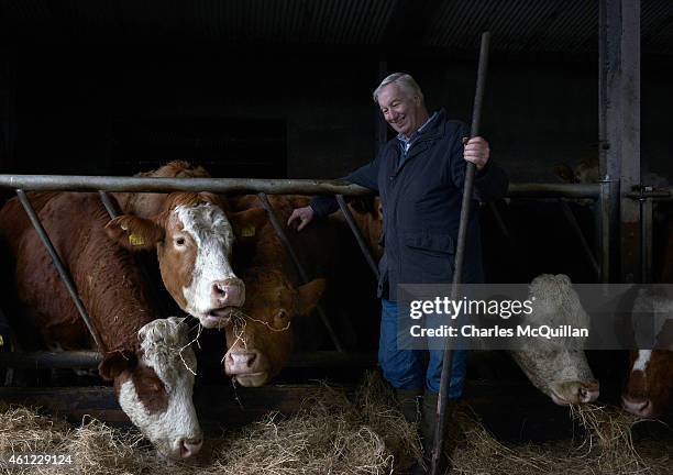 Beef cattle farmer Raymond Palmer pictured with some of his grass fed Simmental, Limousin and Charolais cows on January 9, 2015 in Lifford, Ireland....